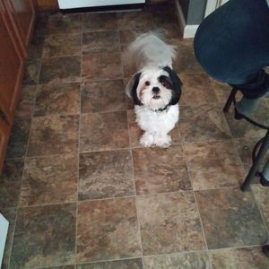 Meet your Posher, Rodney